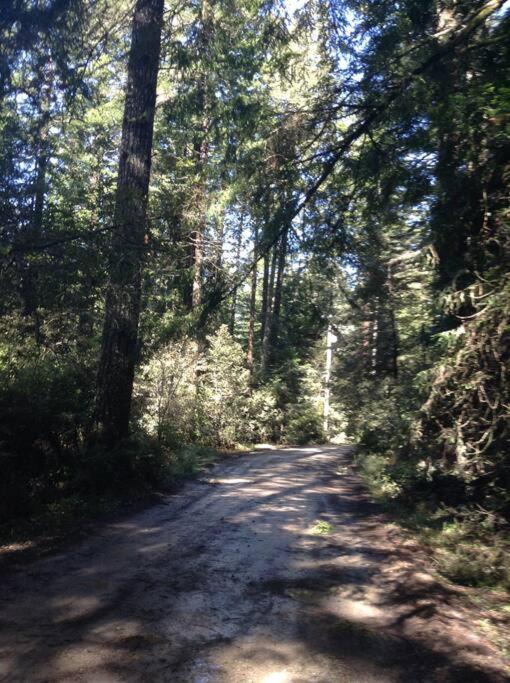 Photo of Others in Mendocino