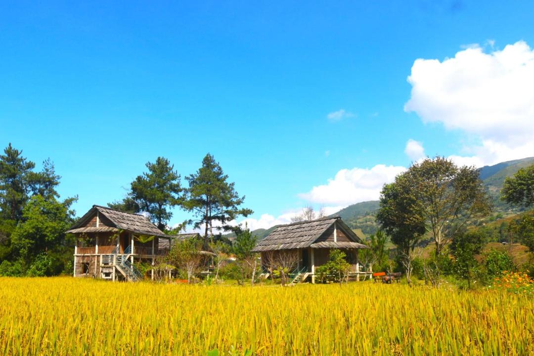Photo of Buildings in Mu Cang Chai