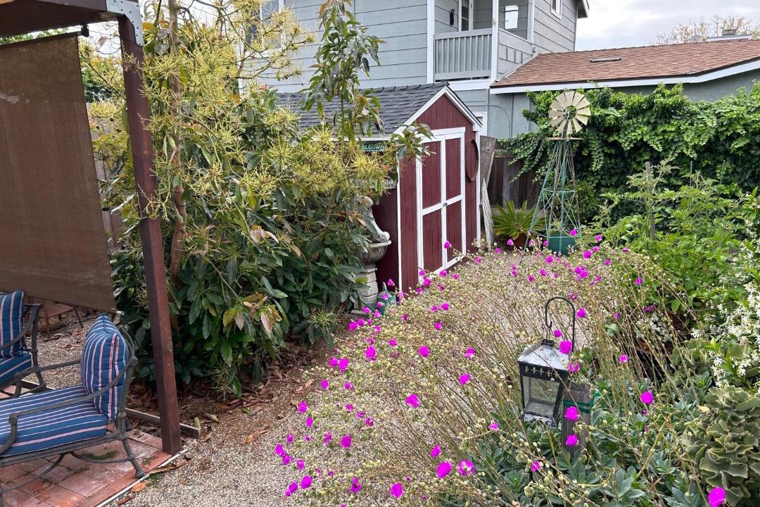 Photo of Buildings in East Side Costa Mesa