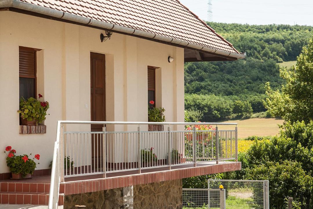 Photo of Buildings in Mecseknadasd