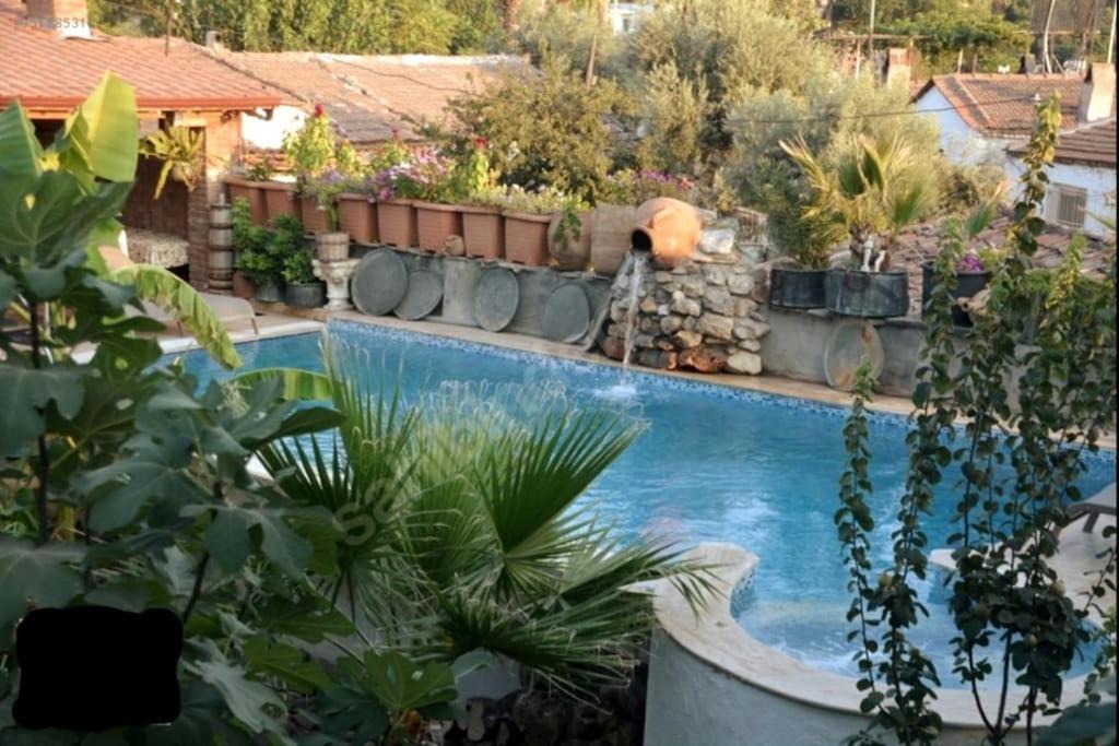 Photo of Others in Selcuk