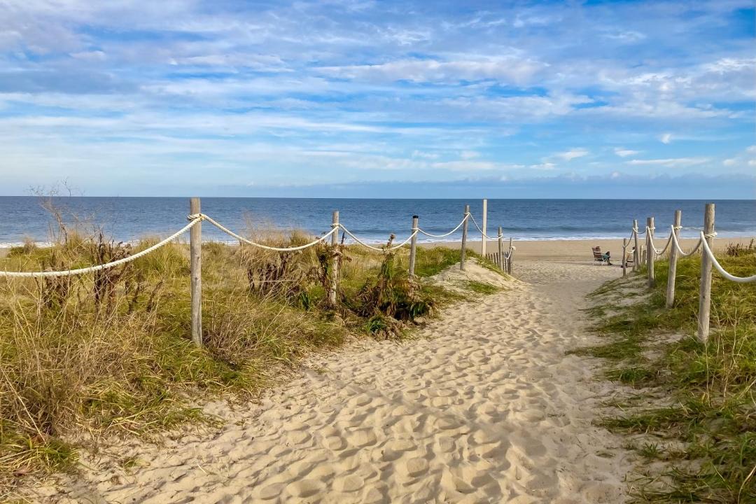 Photo of Others in Dewey Beach