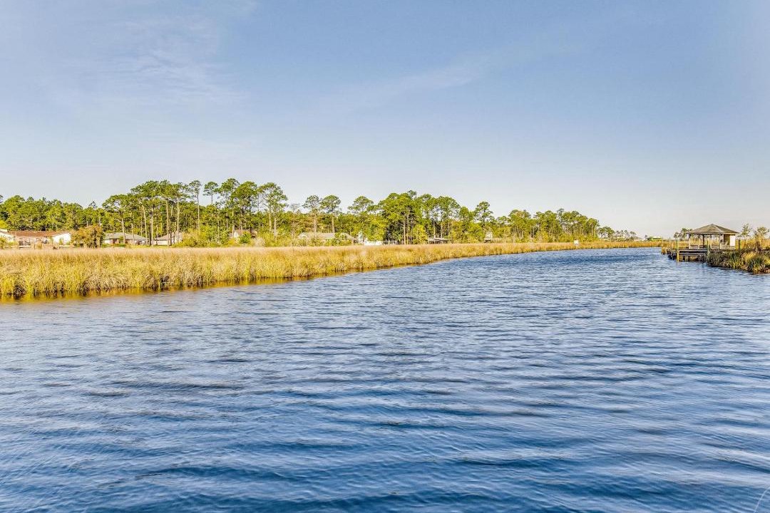 Photo of Others in Florida Panhandle