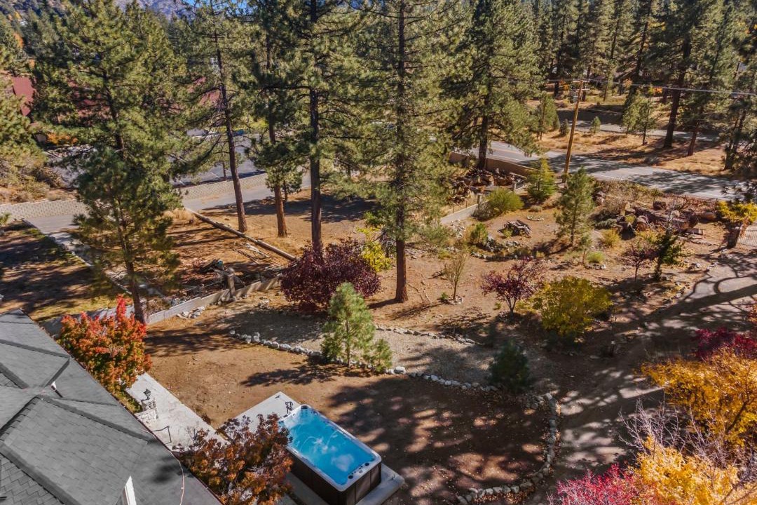 Photo of Others in Wrightwood