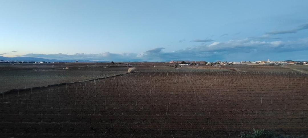 Photo of Others in Sant Cugat Sesgarrigues