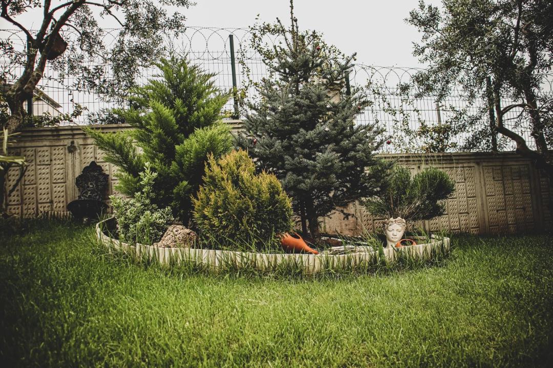 Photo of Others in Gemlik