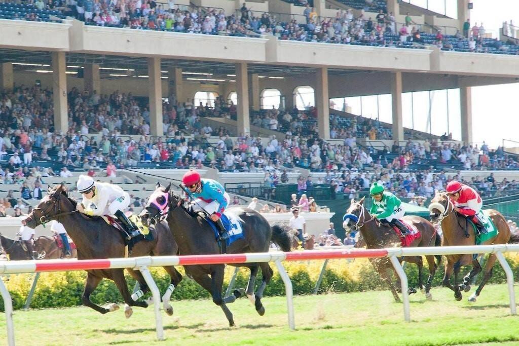 Photo of Others in Del Mar
