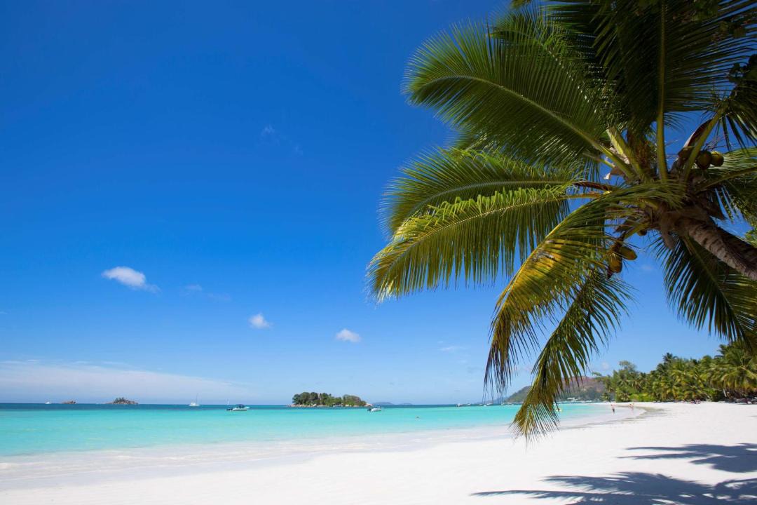 Photo of Others in Praslin Island