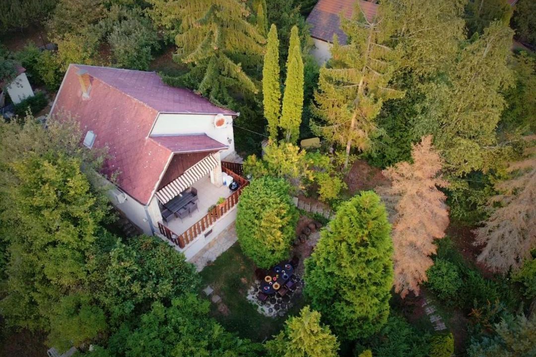 Photo of Others in Nograd