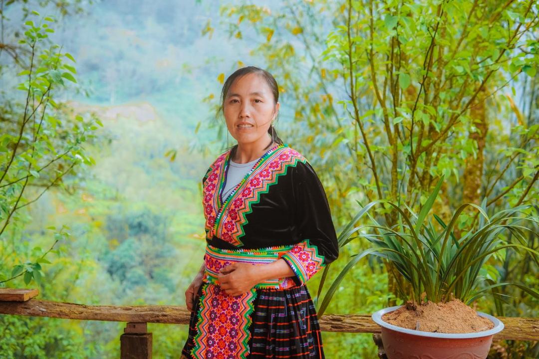 Photo of Others in Phong Tho