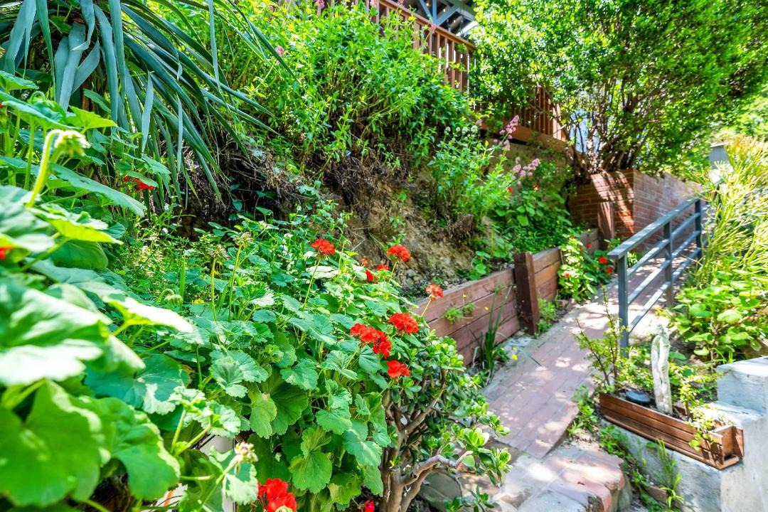 Photo of Others in Beachwood Canyon