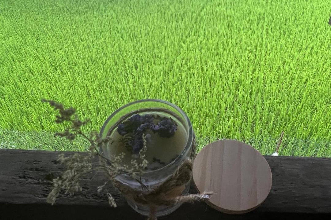 Photo of Others in Yen Minh