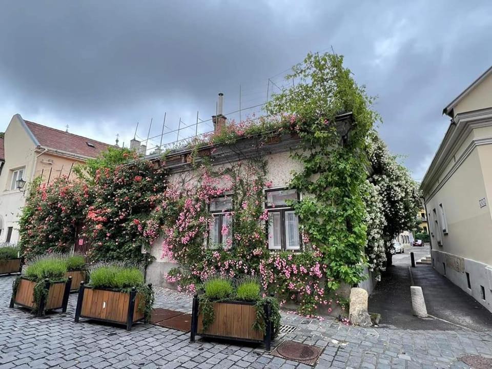 Photo of Buildings in Szekesfehervar