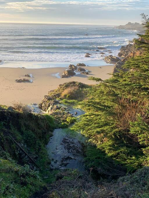 Photo of Others in Sea Ranch