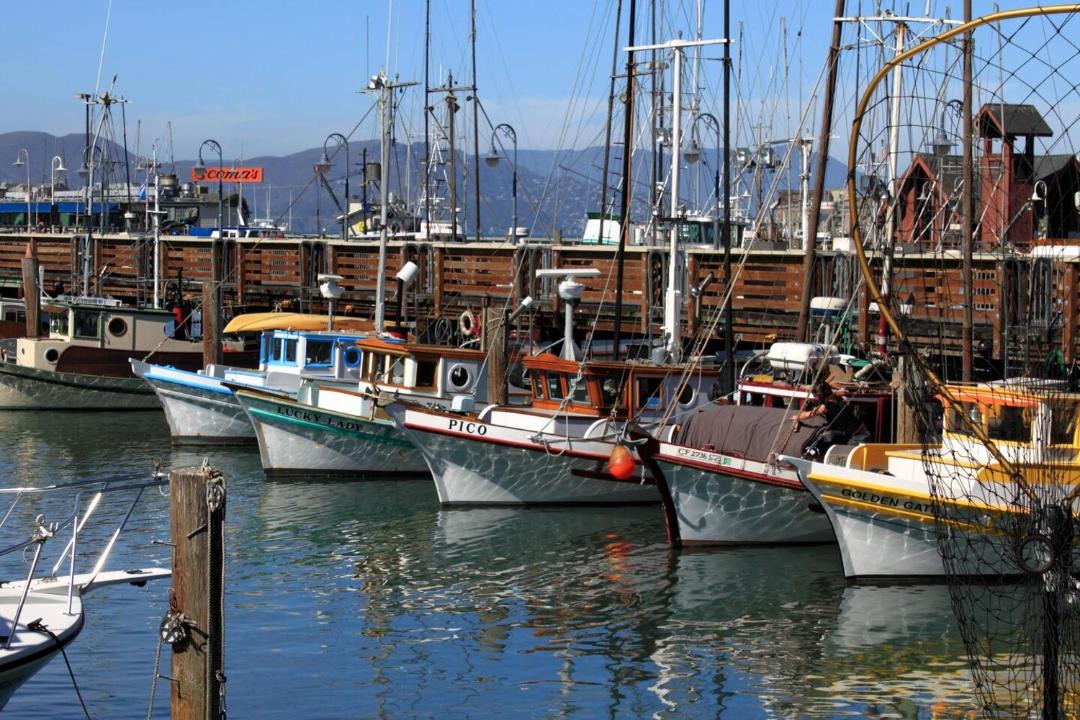 Photo of Others in Fisherman's Wharf