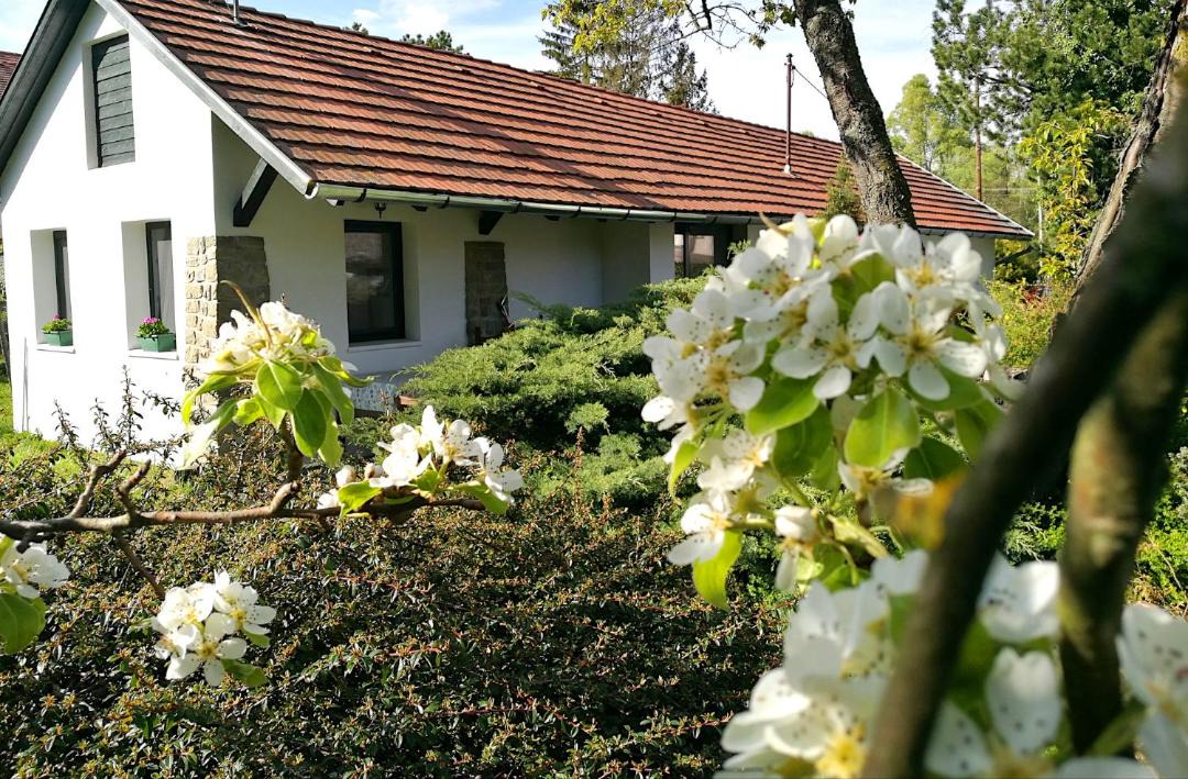 Photo of Buildings in Szentendrei