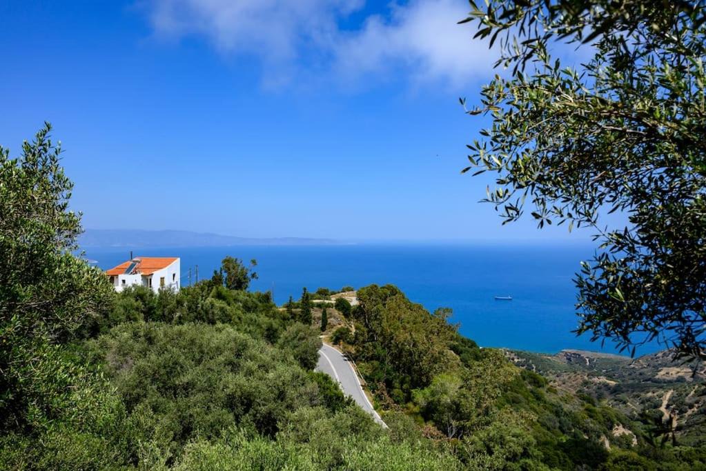 Photo of Outdoor in Mirsini
