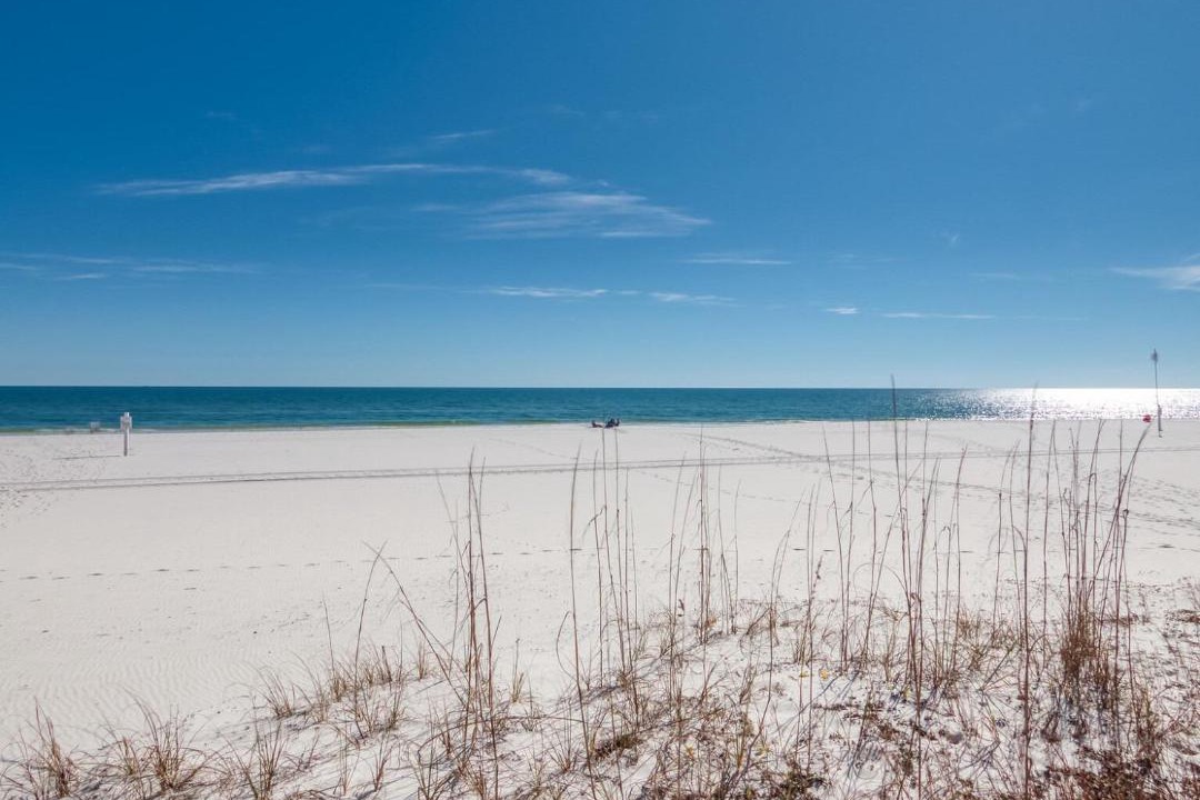 Photo of Others in Orange Beach