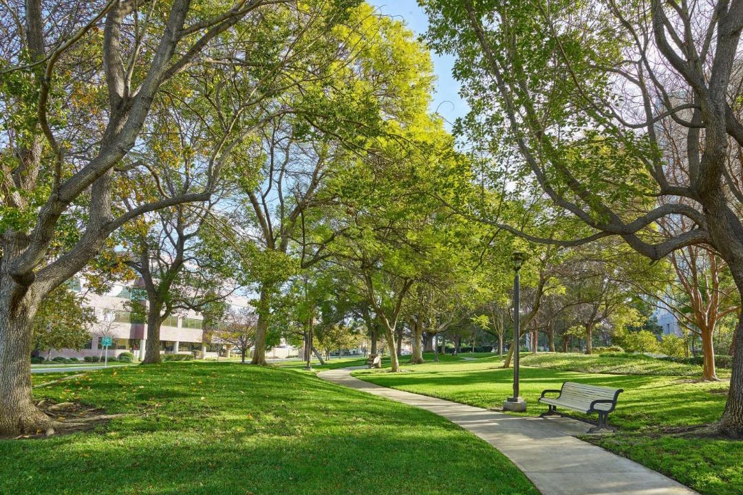 Photo of Others in Downtown