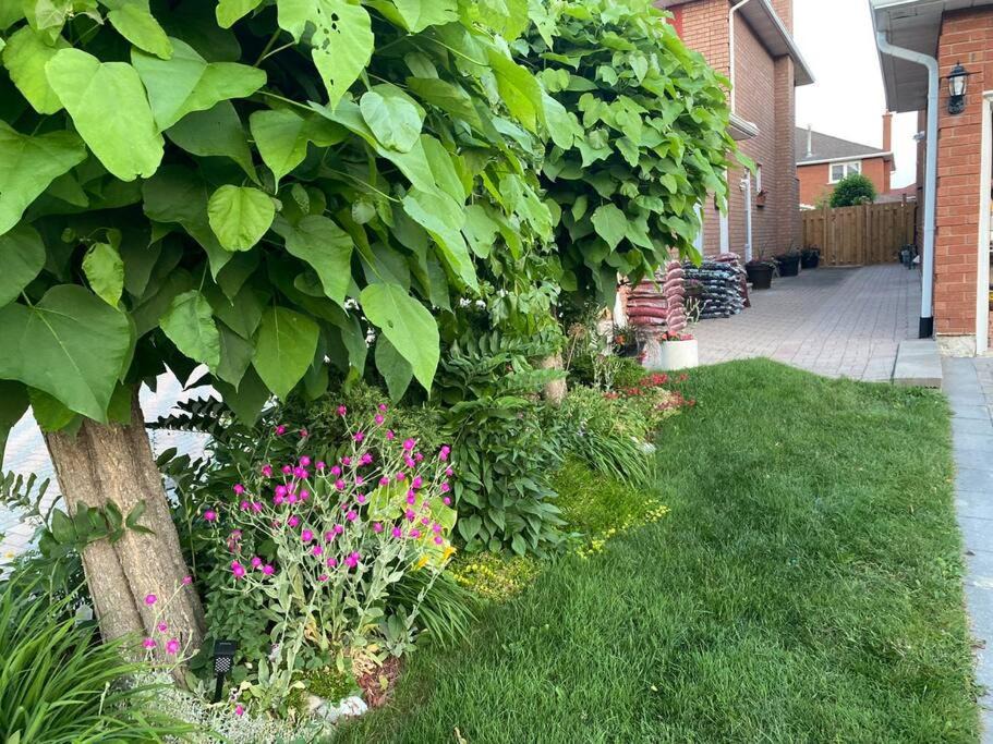 Photo of Others in Vaughan