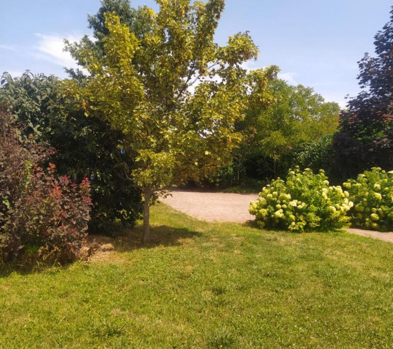 Photo of Outdoor in Pannonhalma