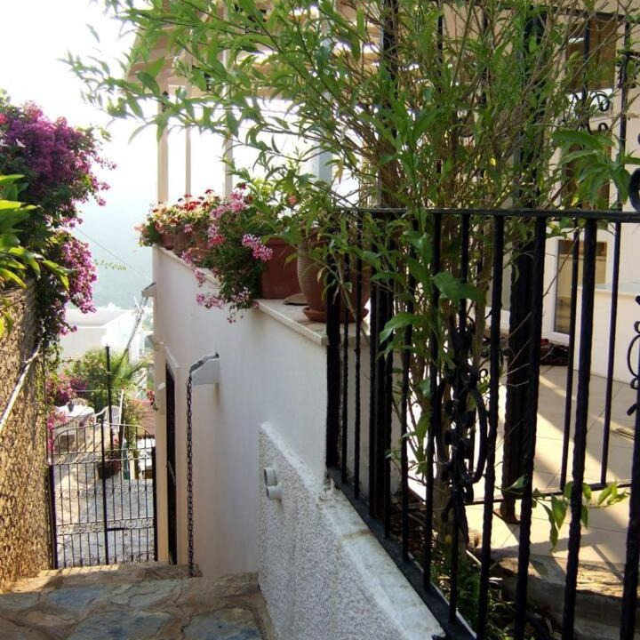 Photo of Others in Torba