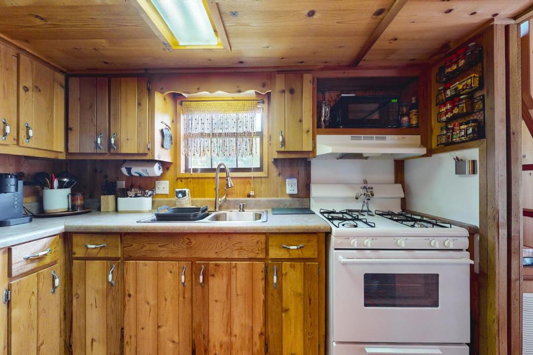 Photo of Kitchen in Hector