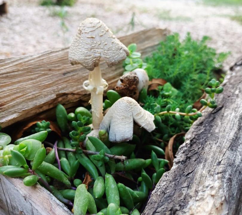 Photo of Outdoor in Kumluca