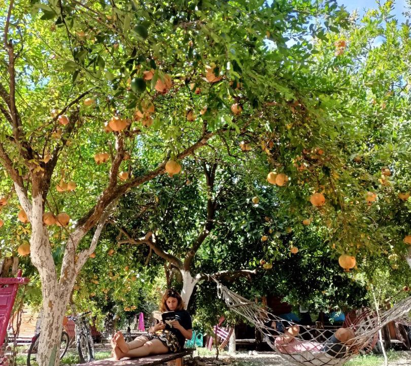 Photo of Outdoor in Kumluca