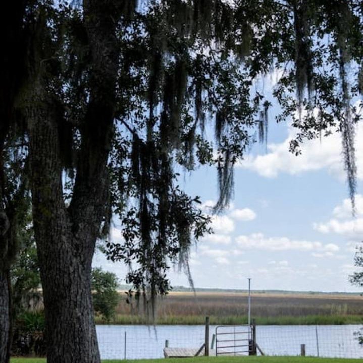 Photo of Buildings in Pass Christian