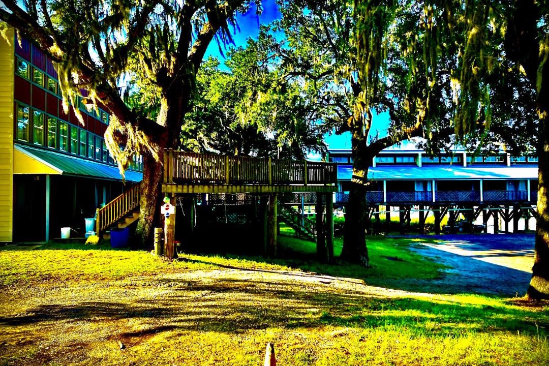 Photo of Others in Gautier