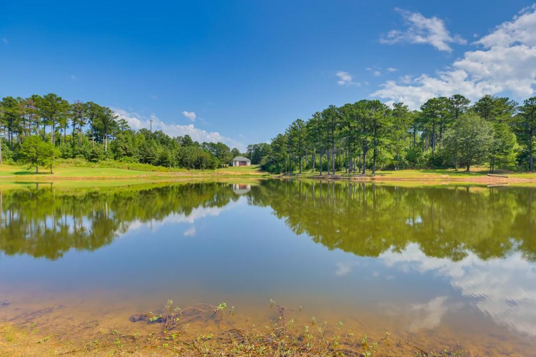 Photo of Others in Eutaw