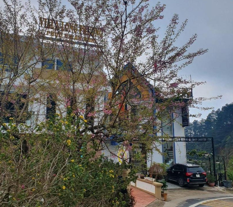 Photo of Buildings in Tam Dao
