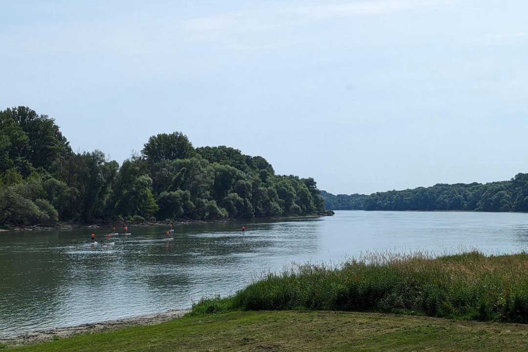Photo of Others in Szentendrei