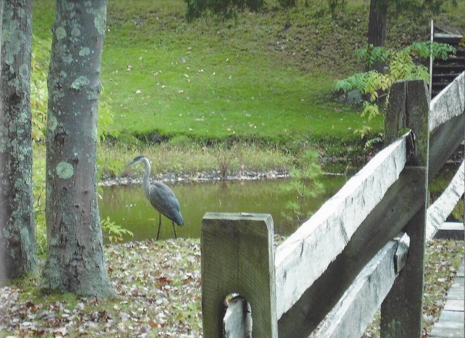 Photo of Others in Bellvale