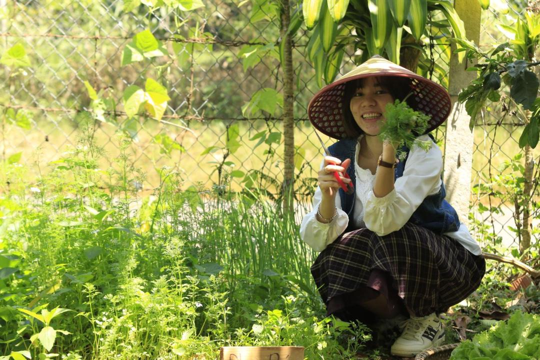 Photo of Others in Bao Loc