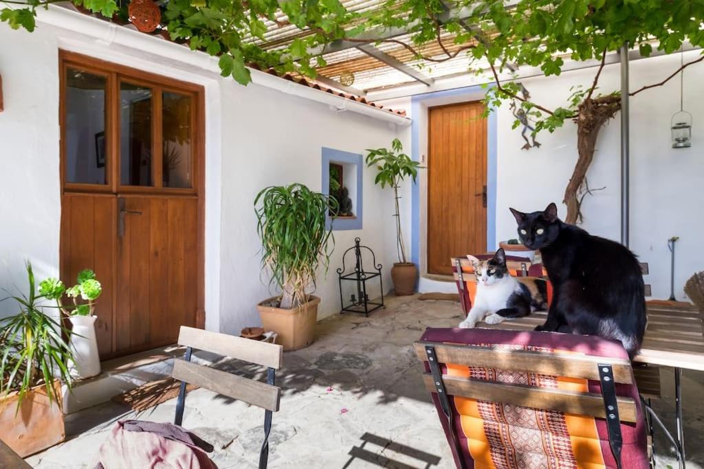 Photo of Patio Balcony in Facinas