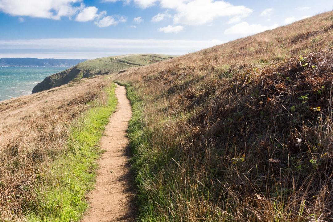 Photo of Others in Point Reyes Station