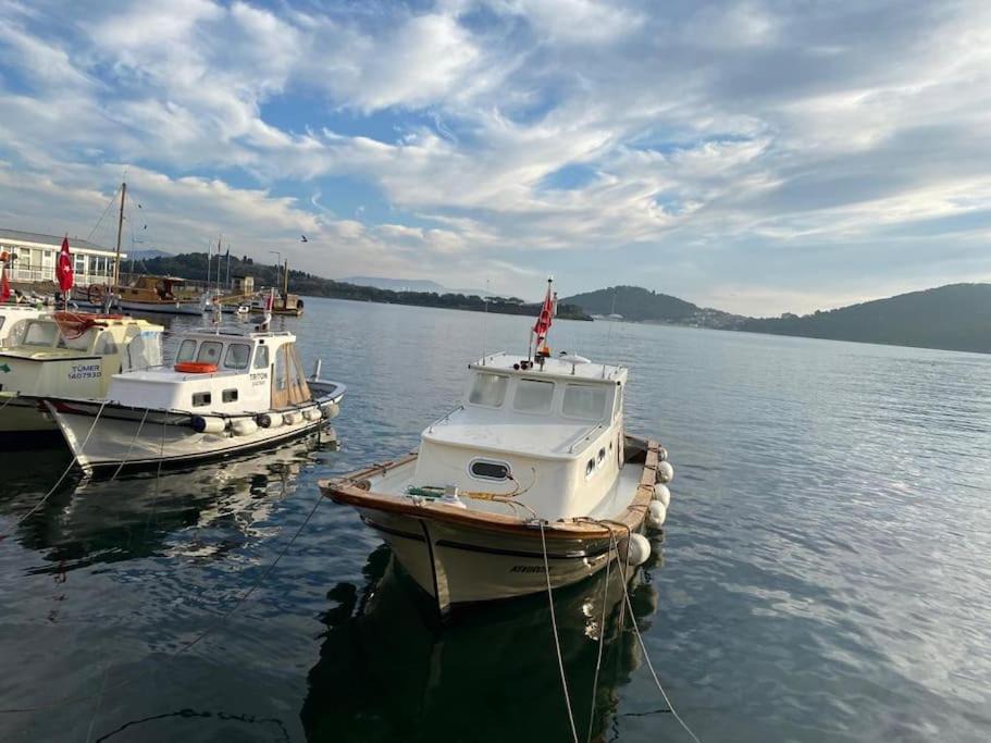 Photo of Others in Adalar