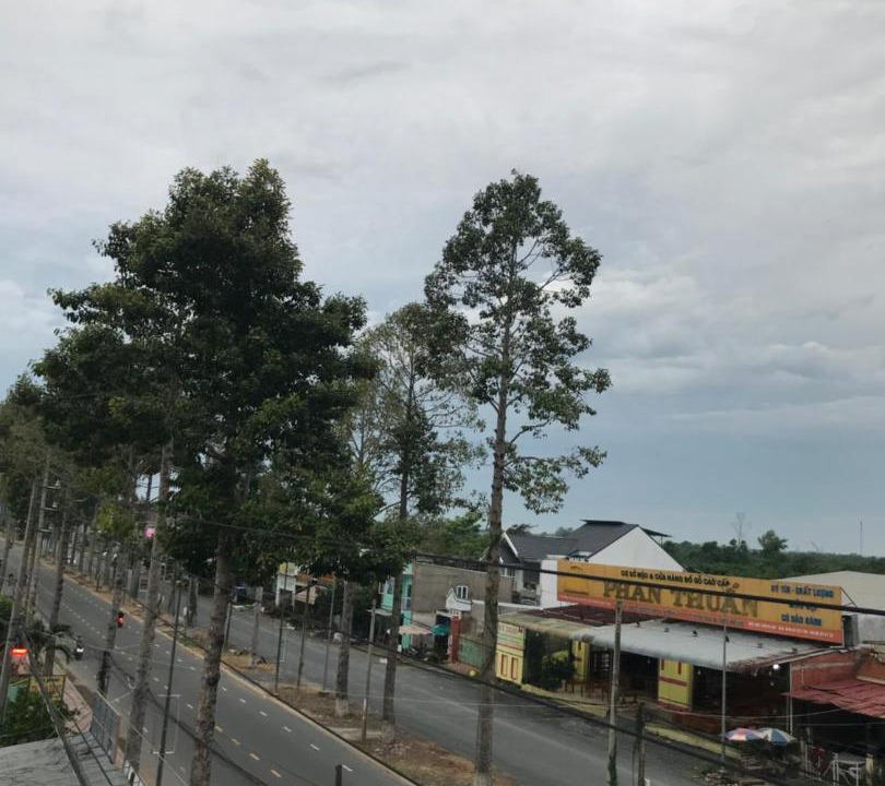 Photo of Others in Cao Lanh