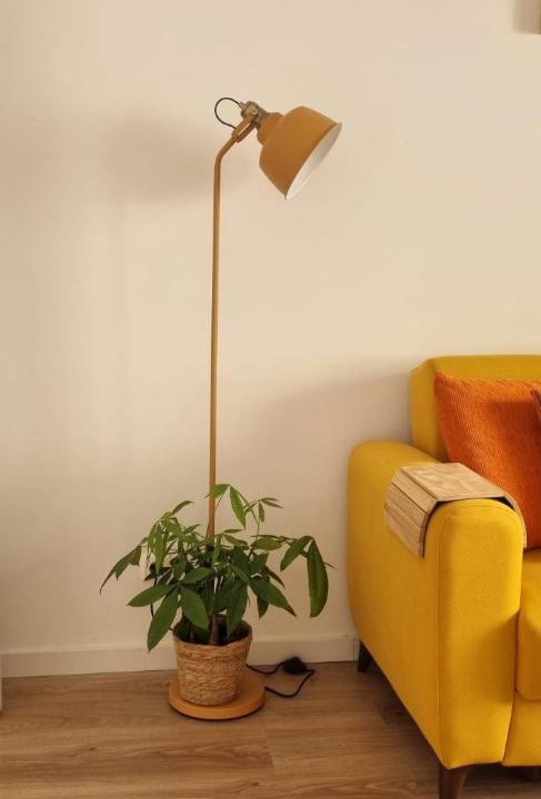 Photo of Livingroom in Cacilhas