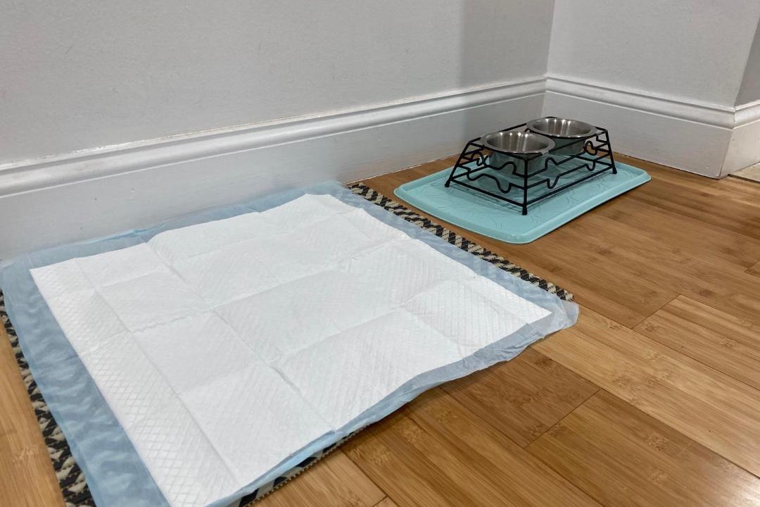 Photo of Bedroom in Orange Lake