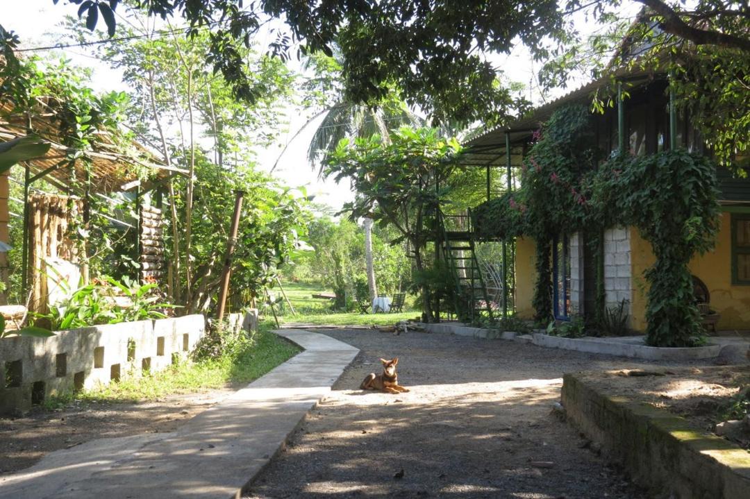 Photo of Others in Hoa Vang