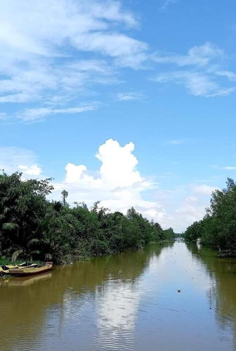 Photo of Others in Phong Dien