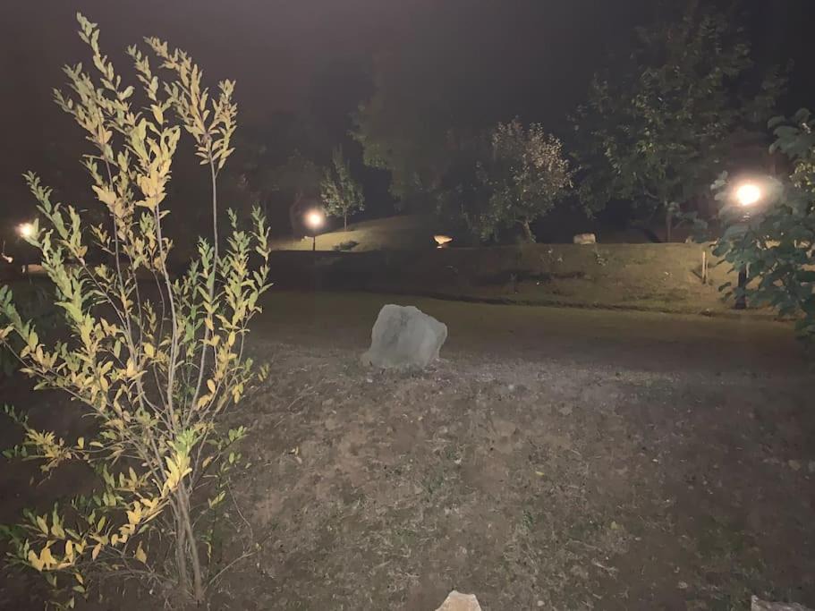 Photo of Outdoor in Szentendrei