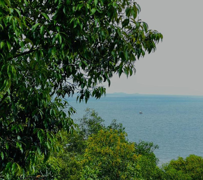 Photo of Outdoor in Ham Ninh
