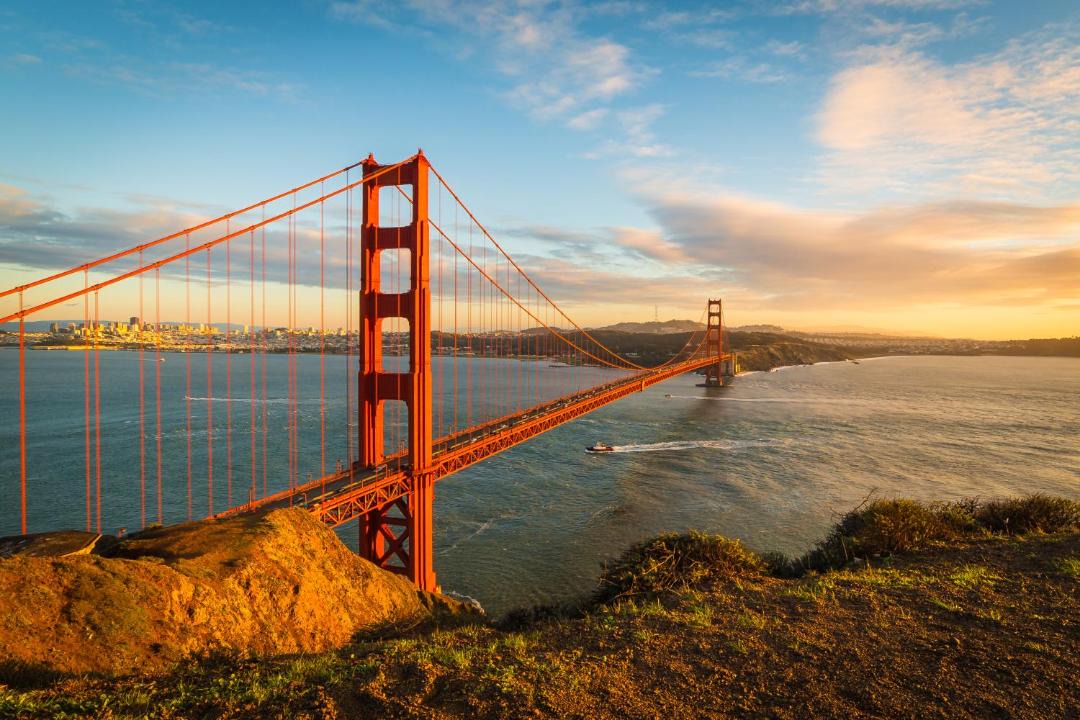Photo of Others in Lower Pacific Heights