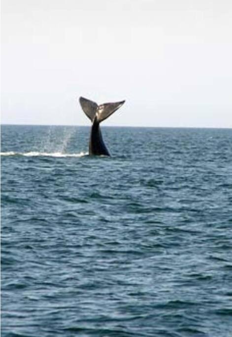 Photo of Others in Vilano Beach
