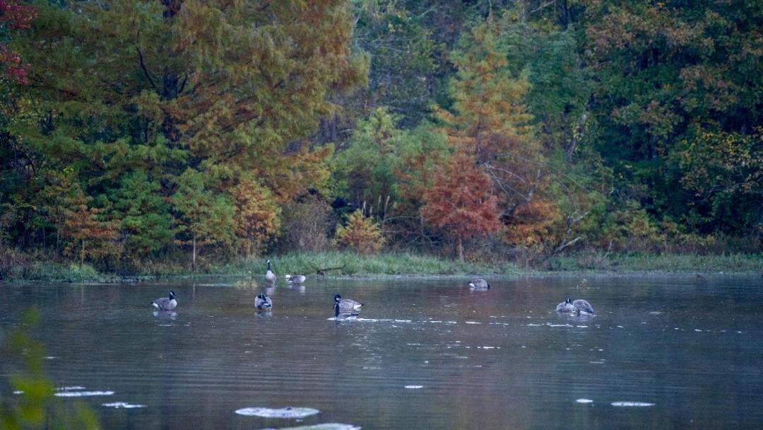 Photo of Others in Morton