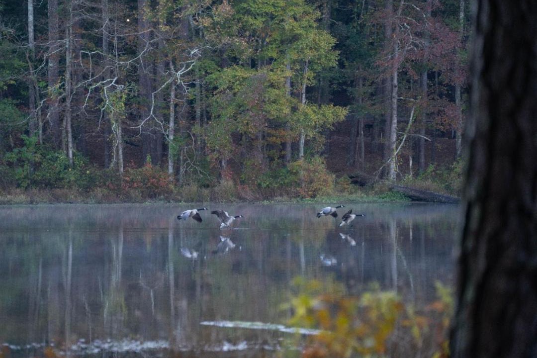 Photo of Others in Morton